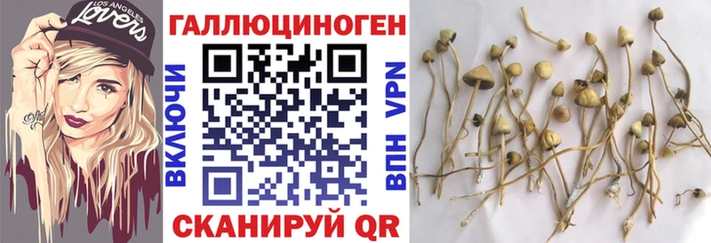 Псилоцибиновые грибы ЛСД  ОМГ ОМГ как зайти  Фокино 