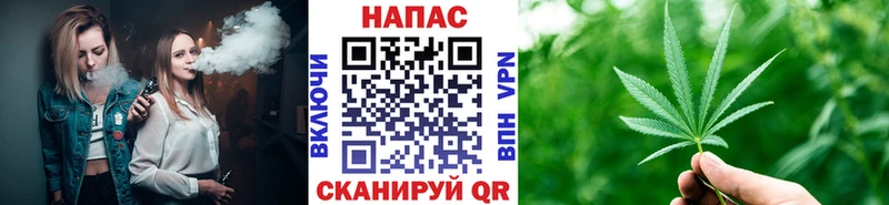 что такое   Фокино  Шишки марихуана сатива 